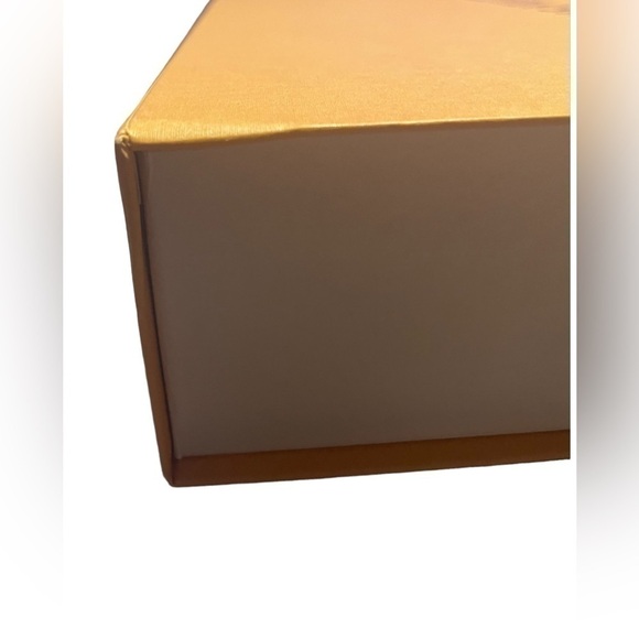 Authentic Louis Vuitton Gift/Storage Box Magnetic Closure in Imperial Saffron - Picture 5 of 16